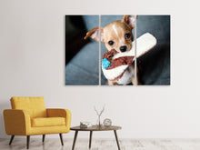 Laden Sie das Bild in den Galerie-Viewer, Leinwandbild 3-teilig Gehorsamer Chihuahua