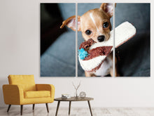 Laden Sie das Bild in den Galerie-Viewer, Leinwandbild 3-teilig Gehorsamer Chihuahua