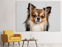 Laden Sie das Bild in den Galerie-Viewer, Leinwandbild 3-teilig Süsser Chihuahua