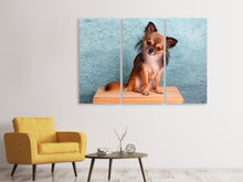 Laden Sie das Bild in den Galerie-Viewer, Leinwandbild 3-teilig Typisch Chihuahua