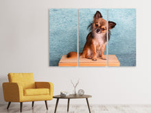 Laden Sie das Bild in den Galerie-Viewer, Leinwandbild 3-teilig Typisch Chihuahua