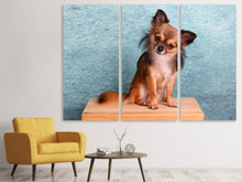 Laden Sie das Bild in den Galerie-Viewer, Leinwandbild 3-teilig Typisch Chihuahua