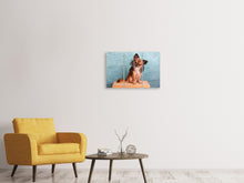 Laden Sie das Bild in den Galerie-Viewer, Leinwandbild 3-teilig Typisch Chihuahua