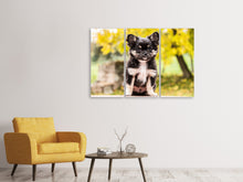 Laden Sie das Bild in den Galerie-Viewer, Leinwandbild 3-teilig Niedliche Chihuahua Welpe