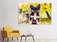 Laden Sie das Bild in den Galerie-Viewer, Leinwandbild 3-teilig Niedliche Chihuahua Welpe