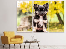 Laden Sie das Bild in den Galerie-Viewer, Leinwandbild 3-teilig Niedliche Chihuahua Welpe
