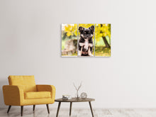 Laden Sie das Bild in den Galerie-Viewer, Leinwandbild 3-teilig Niedliche Chihuahua Welpe