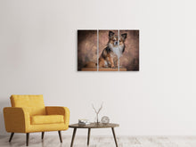 Laden Sie das Bild in den Galerie-Viewer, Leinwandbild 3-teilig Chihuahua Portrait