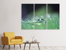 Laden Sie das Bild in den Galerie-Viewer, Leinwandbild 3-teilig Wassertropfen in XXL