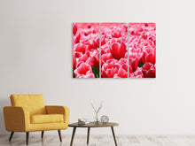 Laden Sie das Bild in den Galerie-Viewer, Leinwandbild 3-teilig Fröhliches Tulpenfeld