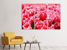 Laden Sie das Bild in den Galerie-Viewer, Leinwandbild 3-teilig Fröhliches Tulpenfeld
