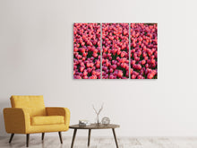 Laden Sie das Bild in den Galerie-Viewer, Leinwandbild 3-teilig Üppiges Tulpenfeld