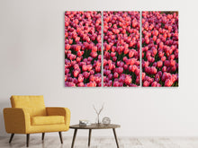 Laden Sie das Bild in den Galerie-Viewer, Leinwandbild 3-teilig Üppiges Tulpenfeld