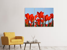 Laden Sie das Bild in den Galerie-Viewer, Leinwandbild 3-teilig Rote Tulpen XL