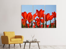Laden Sie das Bild in den Galerie-Viewer, Leinwandbild 3-teilig Rote Tulpen XL