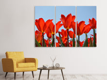 Laden Sie das Bild in den Galerie-Viewer, Leinwandbild 3-teilig Rote Tulpen XL