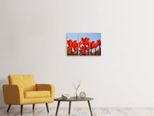 Laden Sie das Bild in den Galerie-Viewer, Leinwandbild 3-teilig Rote Tulpen XL