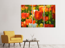 Laden Sie das Bild in den Galerie-Viewer, Leinwandbild 3-teilig Close up Tulpenfeld
