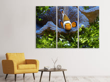 Laden Sie das Bild in den Galerie-Viewer, Leinwandbild 3-teilig Süsser Clownfisch