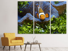 Laden Sie das Bild in den Galerie-Viewer, Leinwandbild 3-teilig Süsser Clownfisch