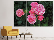 Laden Sie das Bild in den Galerie-Viewer, Leinwandbild 3-teilig Die wilden Rosen in pink