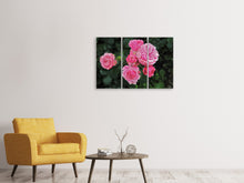 Laden Sie das Bild in den Galerie-Viewer, Leinwandbild 3-teilig Die wilden Rosen in pink