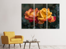 Laden Sie das Bild in den Galerie-Viewer, Leinwandbild 3-teilig Die Rose im Garten