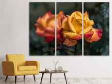 Laden Sie das Bild in den Galerie-Viewer, Leinwandbild 3-teilig Die Rose im Garten