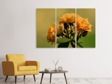 Laden Sie das Bild in den Galerie-Viewer, Leinwandbild 3-teilig Die Rosen in der Natur