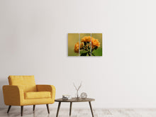 Laden Sie das Bild in den Galerie-Viewer, Leinwandbild 3-teilig Die Rosen in der Natur