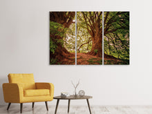 Laden Sie das Bild in den Galerie-Viewer, Leinwandbild 3-teilig Im dichten Wald