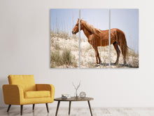 Laden Sie das Bild in den Galerie-Viewer, Leinwandbild 3-teilig Wilder spanischer Mustang