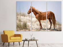 Laden Sie das Bild in den Galerie-Viewer, Leinwandbild 3-teilig Wilder spanischer Mustang