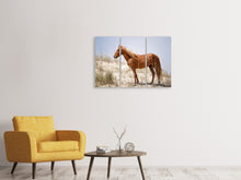 Laden Sie das Bild in den Galerie-Viewer, Leinwandbild 3-teilig Wilder spanischer Mustang