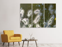 Laden Sie das Bild in den Galerie-Viewer, Leinwandbild 3-teilig Ziergräser in XL
