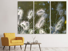 Laden Sie das Bild in den Galerie-Viewer, Leinwandbild 3-teilig Ziergräser in XL