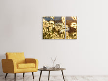 Laden Sie das Bild in den Galerie-Viewer, Leinwandbild 3-teilig Ziergras im Sonnenlicht
