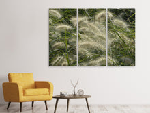 Laden Sie das Bild in den Galerie-Viewer, Leinwandbild 3-teilig Ziergrass im Wind