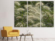 Laden Sie das Bild in den Galerie-Viewer, Leinwandbild 3-teilig Ziergrass im Wind