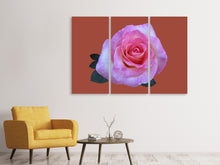 Laden Sie das Bild in den Galerie-Viewer, Leinwandbild 3-teilig Rose in pink XXL