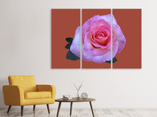 Laden Sie das Bild in den Galerie-Viewer, Leinwandbild 3-teilig Rose in pink XXL