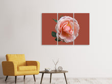 Laden Sie das Bild in den Galerie-Viewer, Leinwandbild 3-teilig Rose in rosa XXL