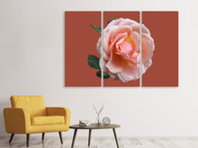 Laden Sie das Bild in den Galerie-Viewer, Leinwandbild 3-teilig Rose in rosa XXL