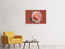 Laden Sie das Bild in den Galerie-Viewer, Leinwandbild 3-teilig Rose in rosa XXL