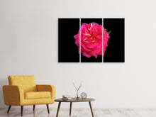 Laden Sie das Bild in den Galerie-Viewer, Leinwandbild 3-teilig Rose in rot XXL
