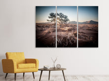 Laden Sie das Bild in den Galerie-Viewer, Leinwandbild 3-teilig Sehnsucht Afrika