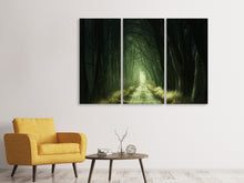 Laden Sie das Bild in den Galerie-Viewer, Leinwandbild 3-teilig Mysteriöser Wald