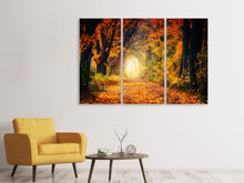 Laden Sie das Bild in den Galerie-Viewer, Leinwandbild 3-teilig Wald Spaziergang