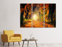Laden Sie das Bild in den Galerie-Viewer, Leinwandbild 3-teilig Wald Spaziergang
