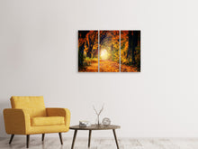 Laden Sie das Bild in den Galerie-Viewer, Leinwandbild 3-teilig Wald Spaziergang
